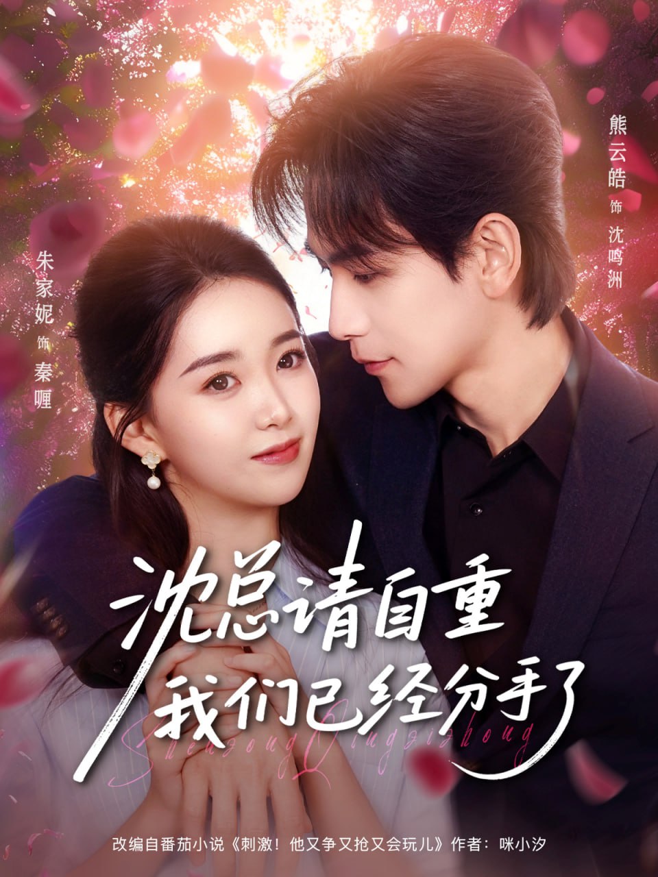 沈总请自重我们已经分手了(全集)