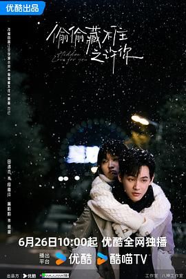 偷偷藏不住之许你(全集)