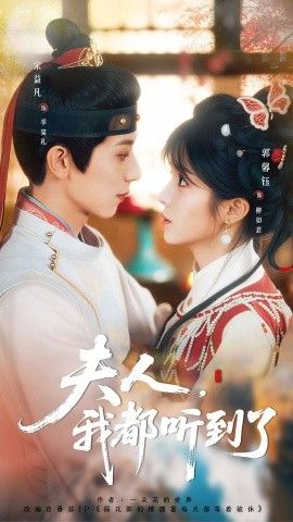 夫人，我都听到了，夫人每天都想被休(全集)