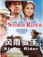 风雨骑手(全集)
