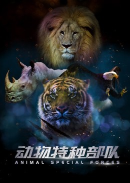 动物特种部队 第二季(全集)