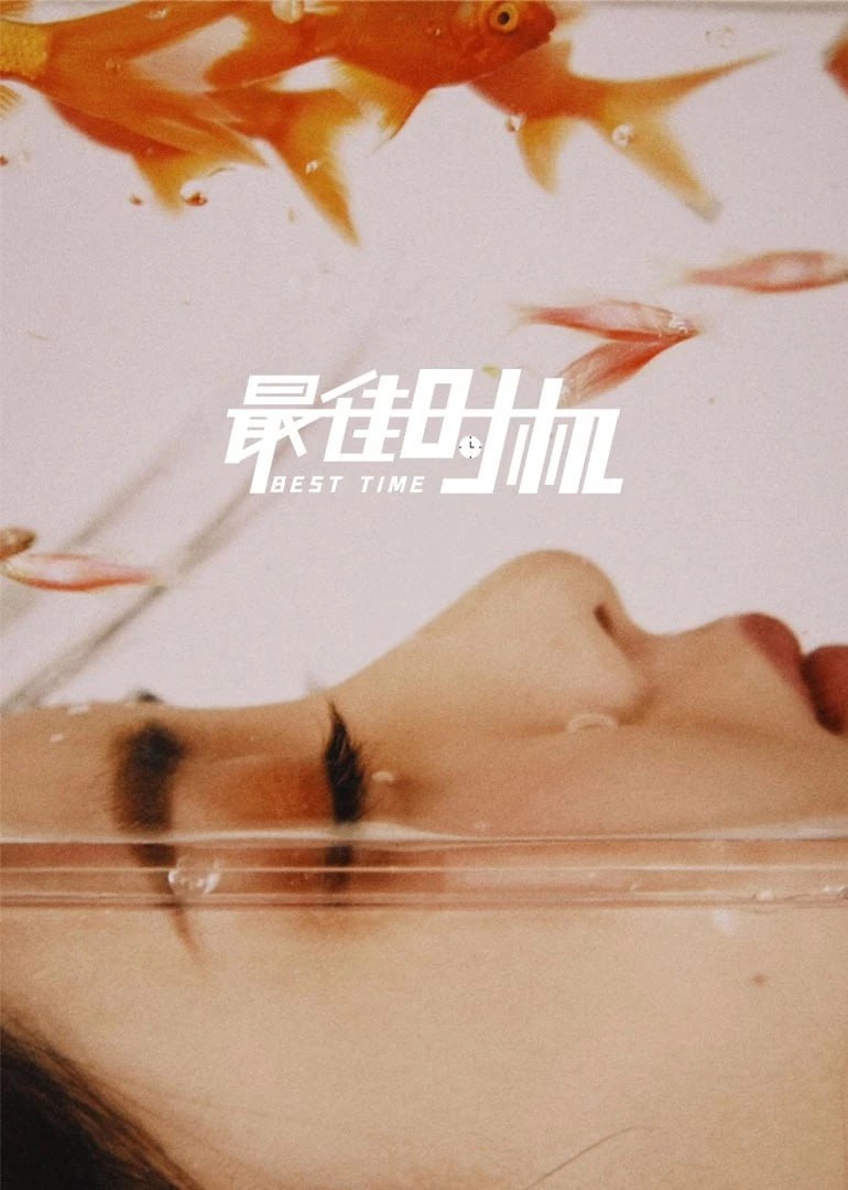 最佳时机 2022(全集)