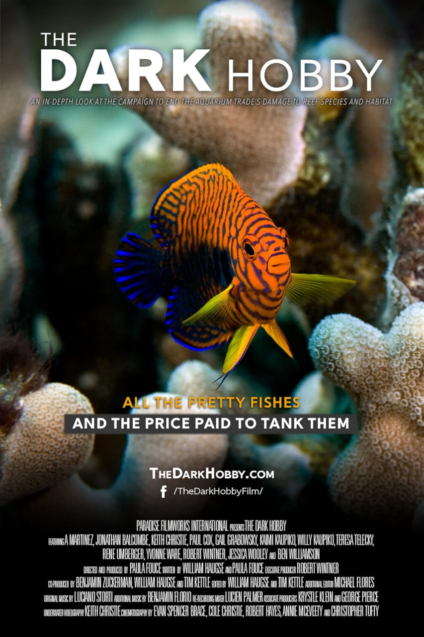 黑暗嗜好(全集)