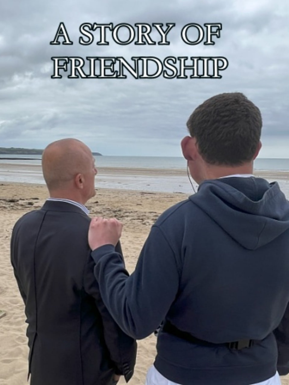 友谊的故事(全集)