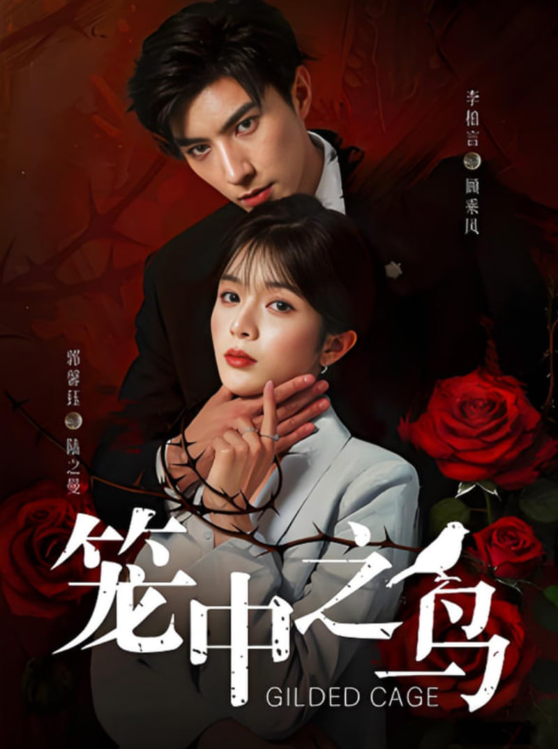 笼中之鸟(全集)