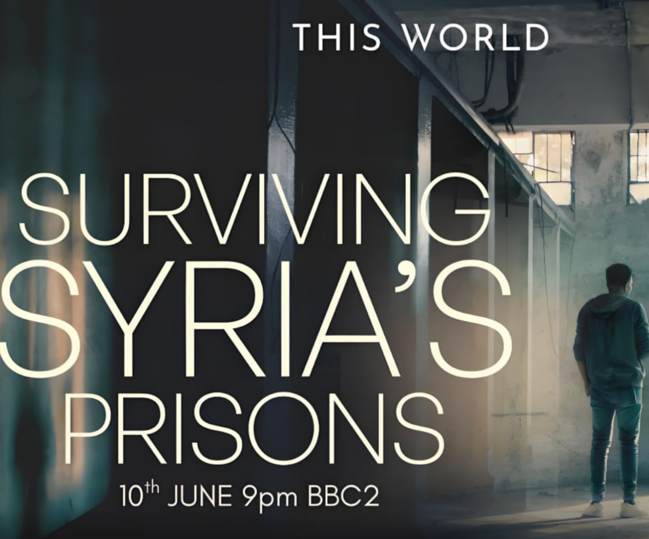 在叙利亚监狱中生存(全集)