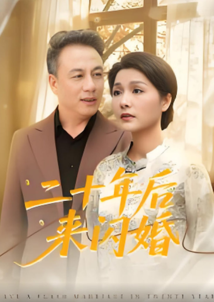 二十年后来闪婚(全集)
