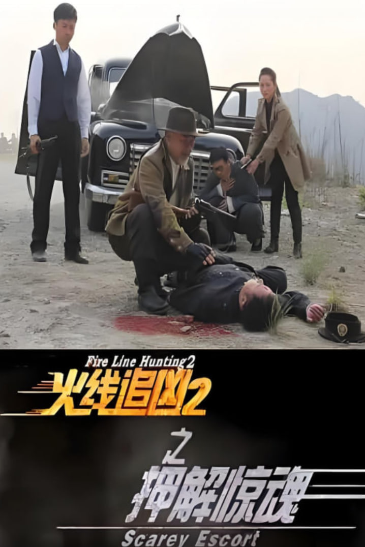 火线追凶2之押解惊魂(全集)