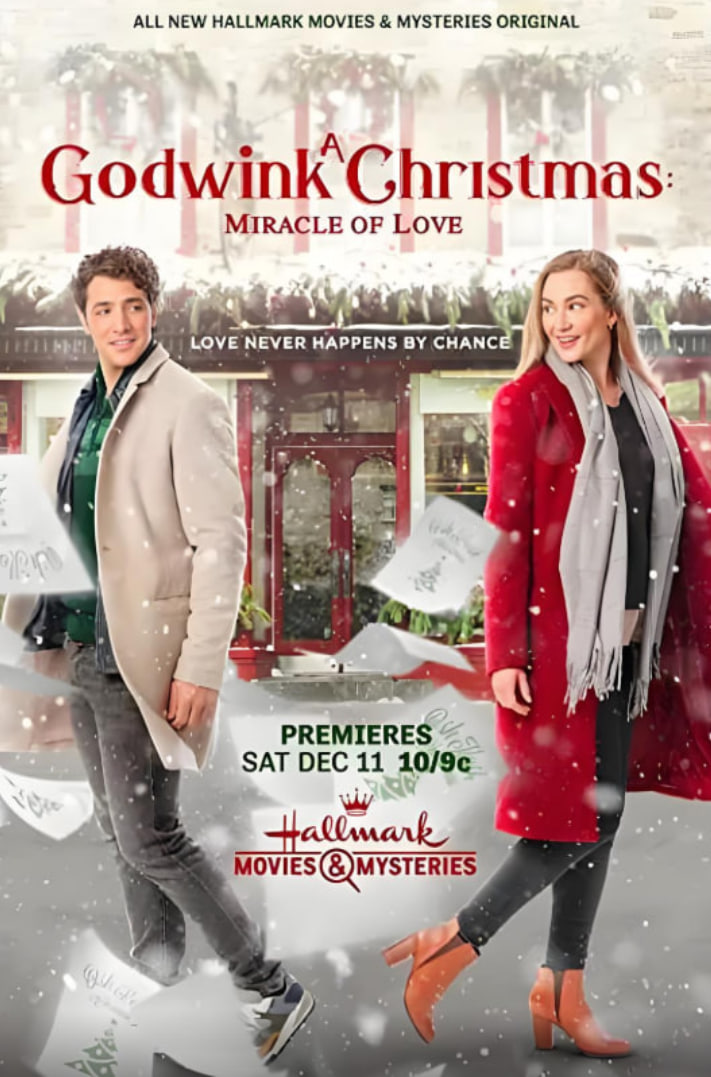 戈德温克的圣诞节：爱的奇迹(全集)