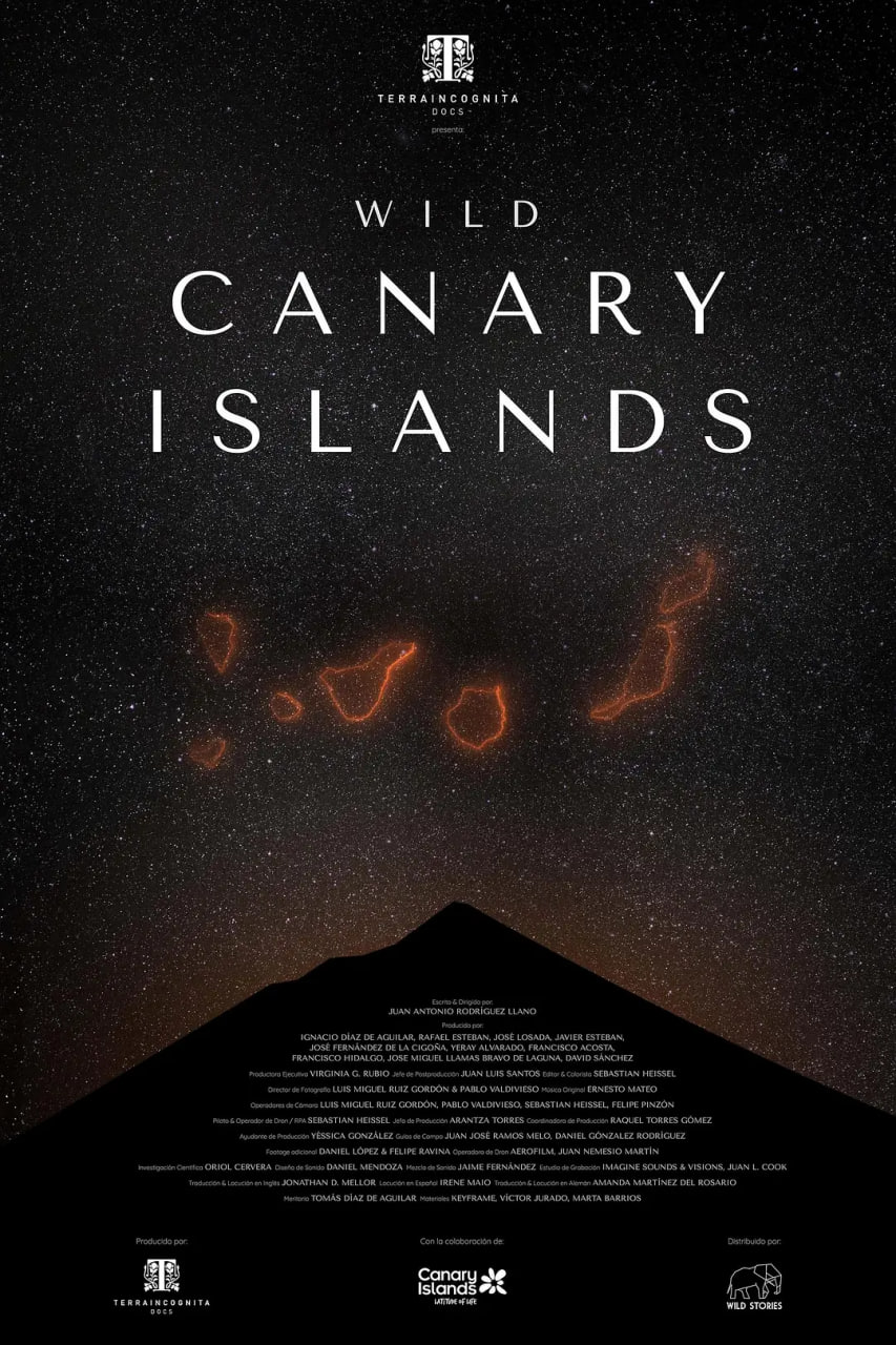 加那利群岛(全集)